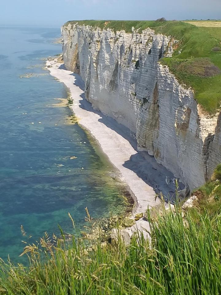Chambre D'Hotes Etretat Les Loges  Exteriör bild